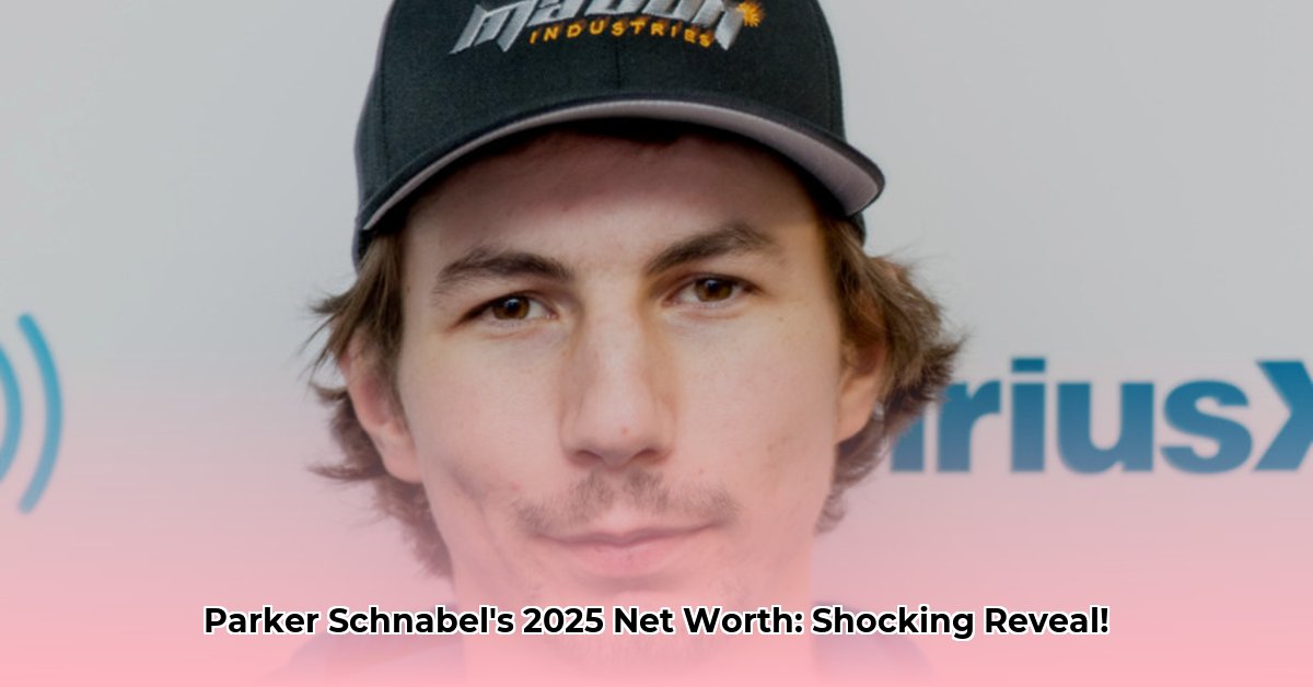 what is the net worth of parker schnabel
